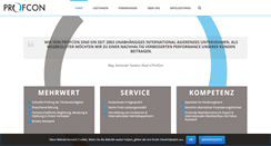Desktop Screenshot of professional-consulting.at